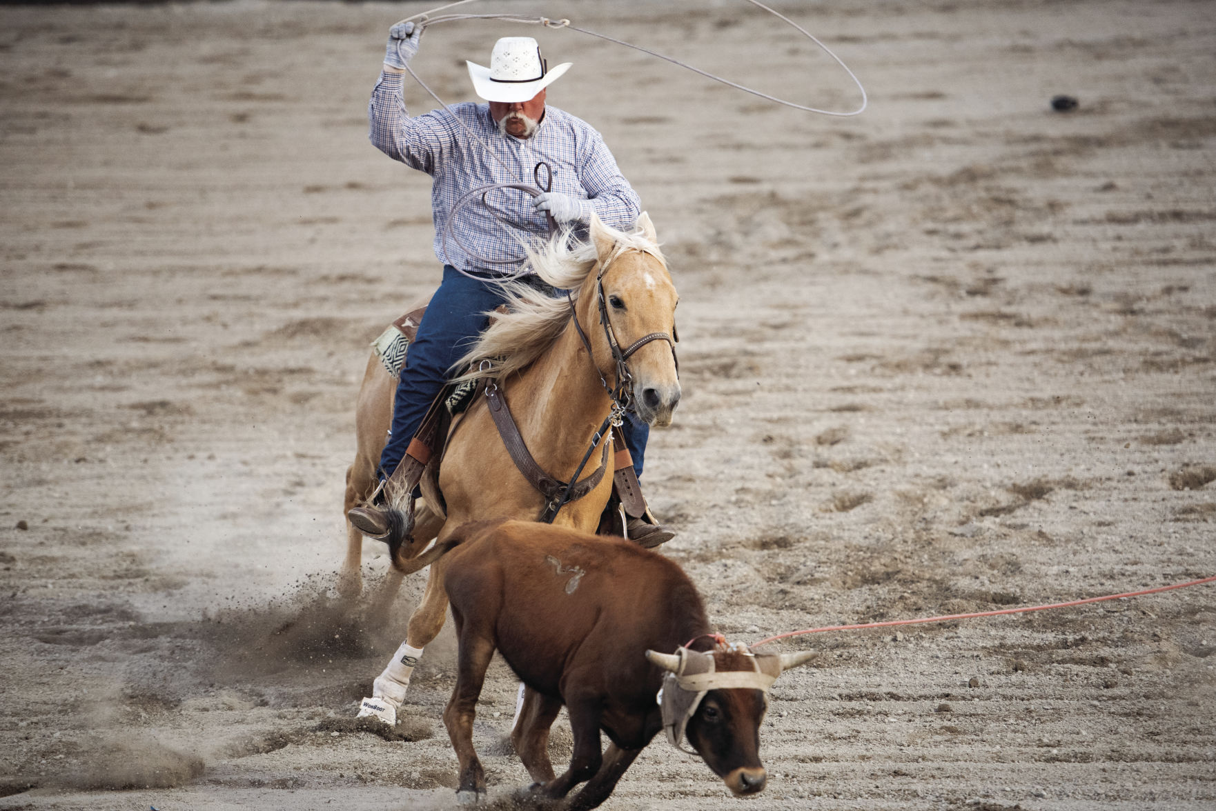 Jackson Hole Rodeo